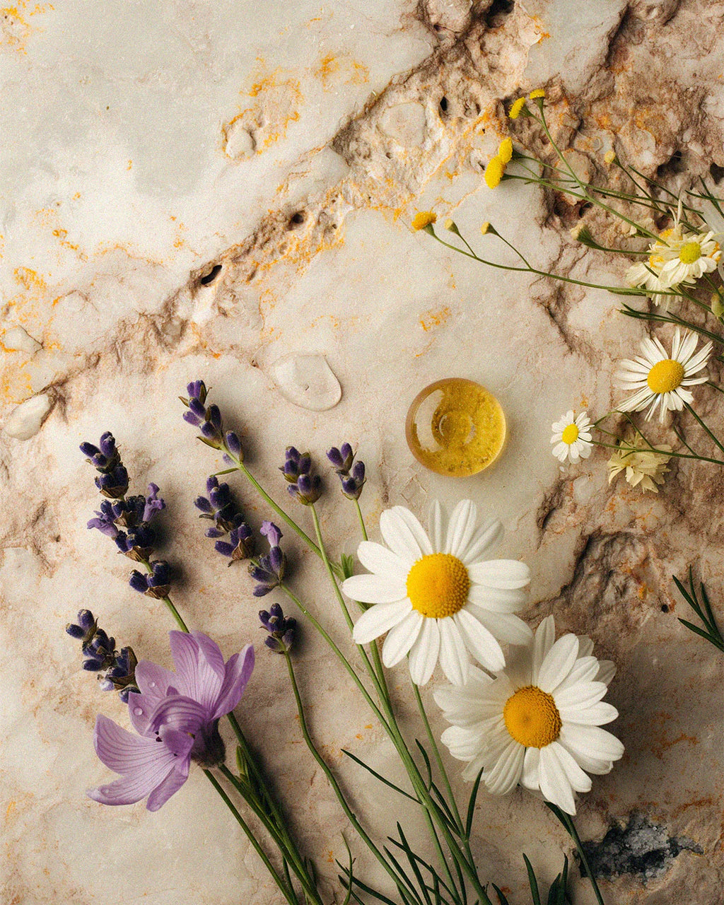 Somnia •  Krachtige Slaappleister 12 stuks