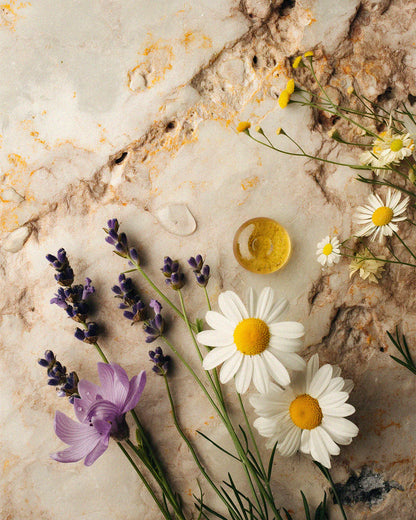 Somnia •  Krachtige Slaappleister 12 stuks